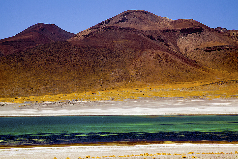 Lagunas-Miscanti-Miniques-Tuyacto-Aguas-Calientes-073.jpg