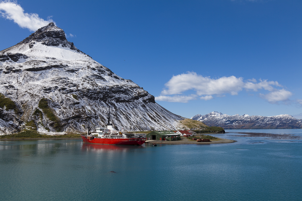 201203_Grytviken_0005.jpg