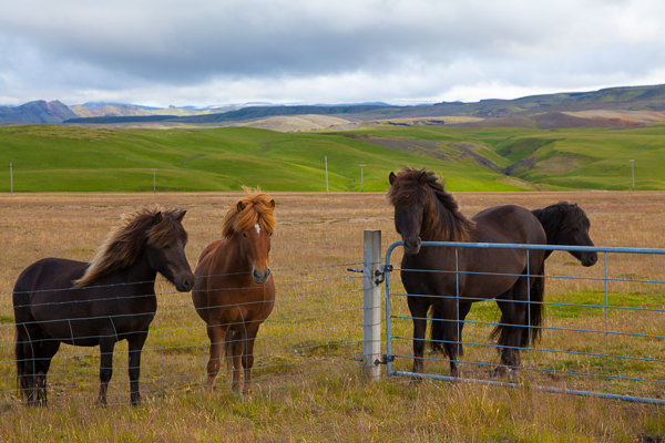 1308_Iceland_SW_Coast_021.jpg