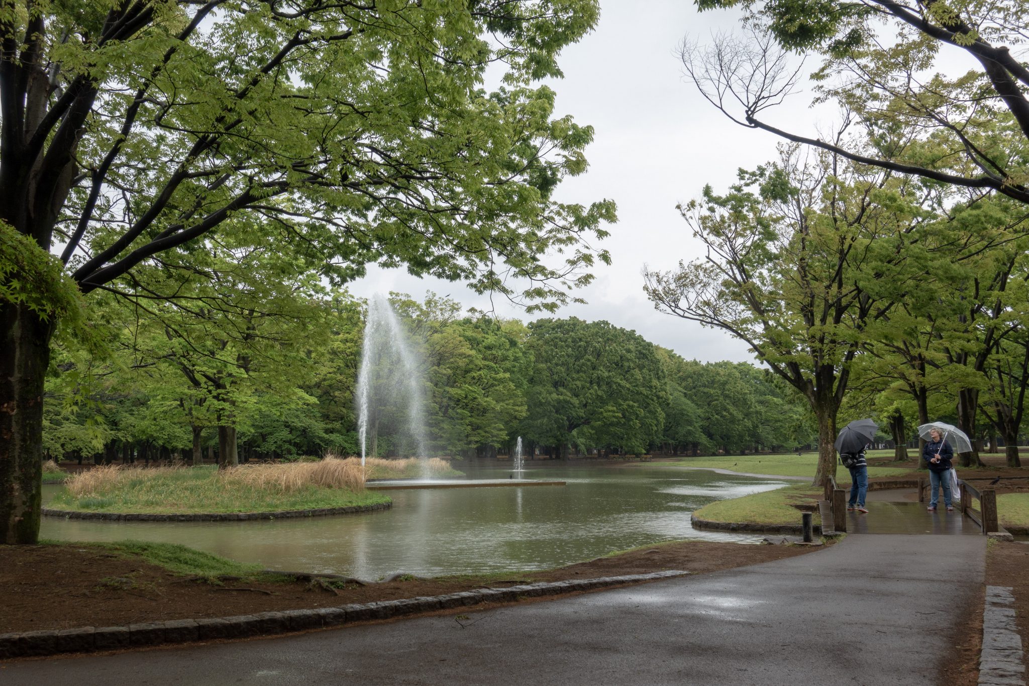 Yoyogi Park and Yokohama