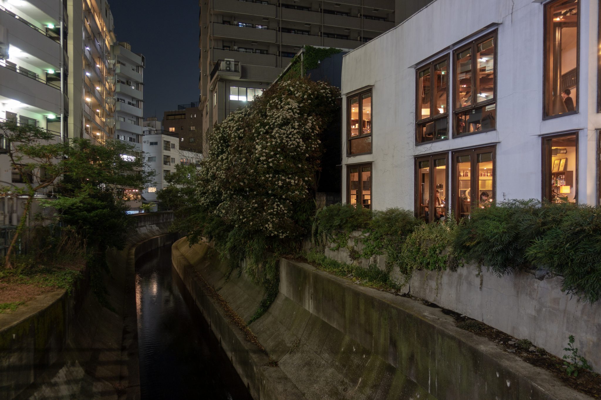 Meiji Shrine and the Streets of Aoyama, Tokyo