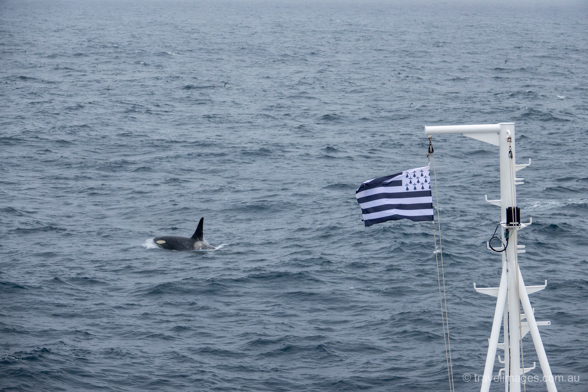 At Sea to Attu Island