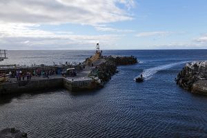 201203_Tristan_da_Cunha_0964.jpg