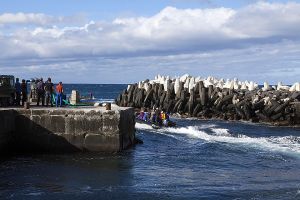 201203_Tristan_da_Cunha_0996.jpg