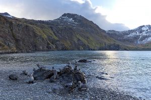 201203_Grytviken-Maiviken_Hike_0032.jpg