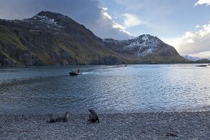 201203_Grytviken-Maiviken_Hike_0106.jpg