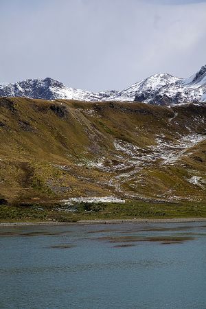 201203_Grytviken_0013.jpg