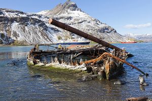 201203_Grytviken_0167_1.jpg