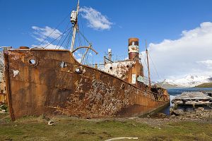 201203_Grytviken_0220_1.jpg