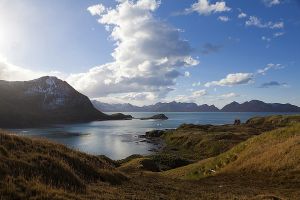 201203_Grytviken-Maiviken_Hike_0019.jpg