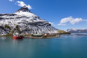 201203_Grytviken_0001.jpg