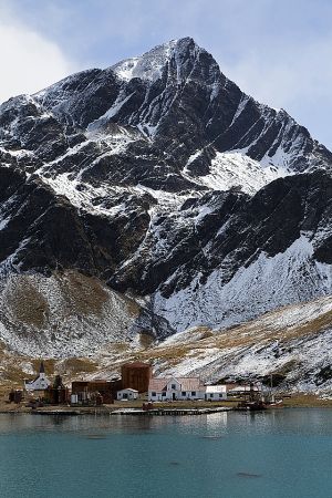 201203_Grytviken_0016.jpg