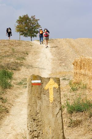 DIG-Camino-Eunate.jpg