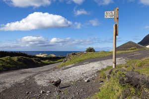 201203_Tristan_da_Cunha_0877.jpg